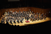 20160441Cc_symphony_22_.jpg