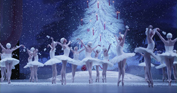 NutCracker_05-1.jpg